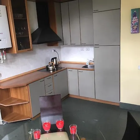 Sija's House Vandrerhjem Kaunas