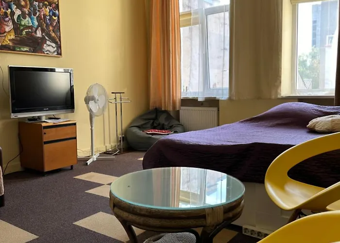 Sija's House Appartement Kaunas